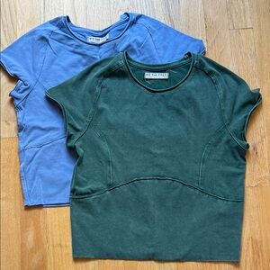 *set of 2* We The Free Protagonist Cropped Cap Sleeve Tee